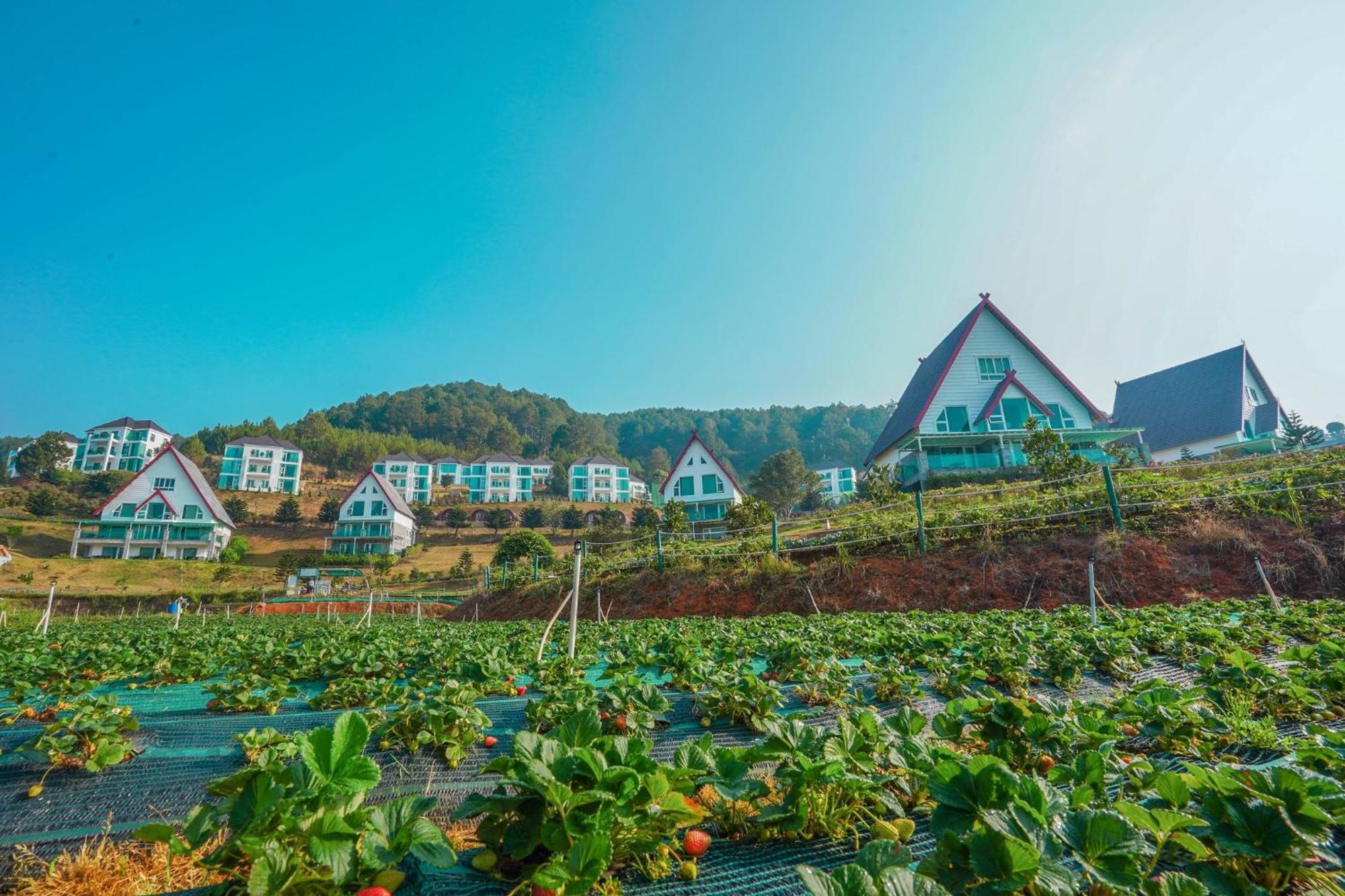 Dalat Wonder Resort Buitenkant foto